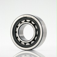 FAG�{�ĝL���S�в��֎����̖